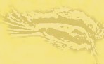 glyphe oj9.jpg (1942 bytes)