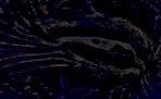 glyphe